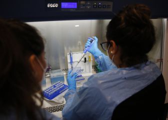 Curva y mapa de casos, contagios y muertes por región en Chile, hoy, miércoles 19 de mayo