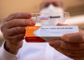 Vacuna Sinovac en Chile: cuántas dosis han llegado hoy y cuándo comenzará su distribución