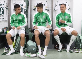 Kuscevic alista el regreso