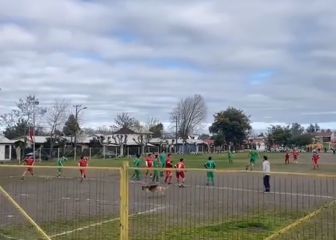 Solo podría ocurrir en Chile: ¡un perro anotó un gol!