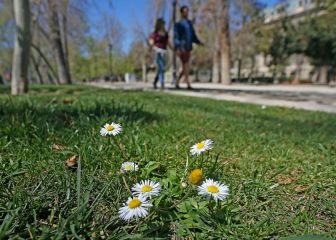 Cuándo comienza la primavera en Chile: qué día y a qué hora