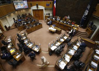 IFE Universal, Laboral y Cuarto Retiro AFP | Noticias, montos y fechas de pago | 14 de noviembre