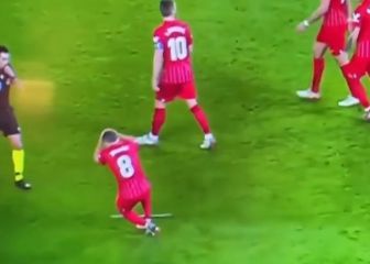 ¡Le cayó un palo! El triste incidente que suspendió el duelo del Betis de Pellegrini
