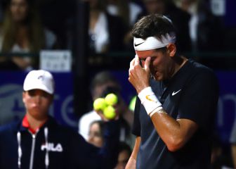 Duele Del Potro