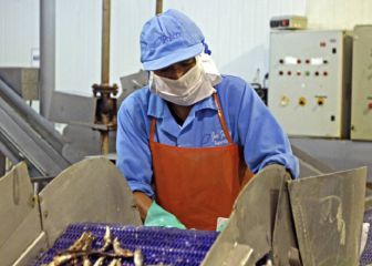 Bono Formalización de Trabajo: fechas, montos y requisitos