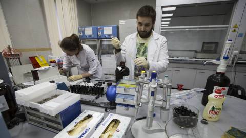 Operarios en un laboratorio antidoping