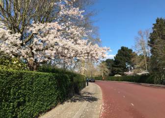 Los Parques Reales de Londres pueden cerrar si los ciclistas no respetan las normas de distancia