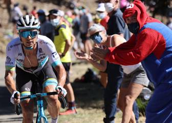 Sin noticias de los gallos