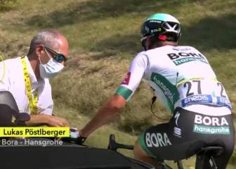 Pöstlberger abandona por una picadura de abeja en la boca