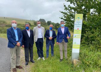 Guillén tras la caída masiva del Tour: 