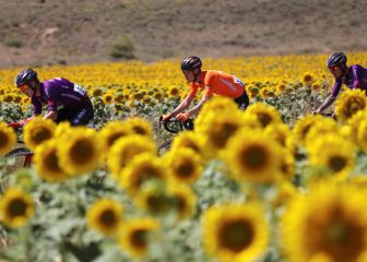 Fabio Jakobsen gana en Molina de Aragón