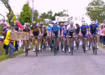 La espectadora que provocó la caída en el Tour se enfrenta a cuatro meses de prisión