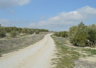 La Strade Bianche española