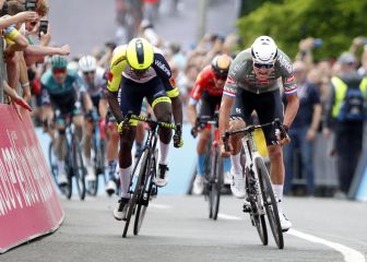 Van der Poel, color de rosa