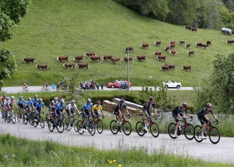 Crtirium del Dauphin 2022: horario, TV y dnde ver la carrera en directo online