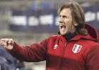 Gareca: 