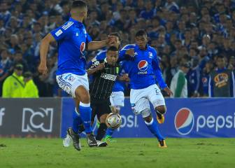 Dimayor: FPC incrementa su patrimonio en un 30%