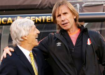 Gareca: 