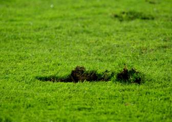 Así está la grama de El Campín: Cancha blanda y maltratada