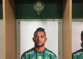 Palmeiras, colombianos y su estadio a fondo