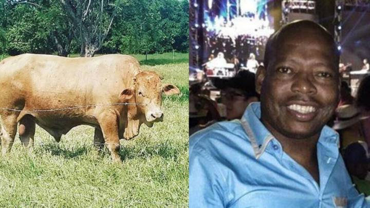 Faustino Asprilla denuncia el robo de un toro en su casa en Tutluá. El Tino pidió ayuda en redes sociales