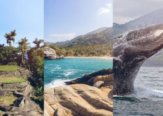 Águila trae a Sudamérica a Colombia en la Copa América
