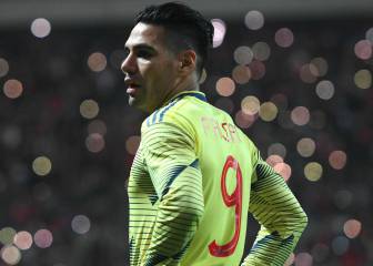 ¿Quienes acompañarían a Falcao y Duván en la Copa?