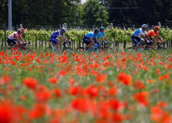 Lo mejor de la victoria de Cabel Ewan en la etapa 11 del Giro