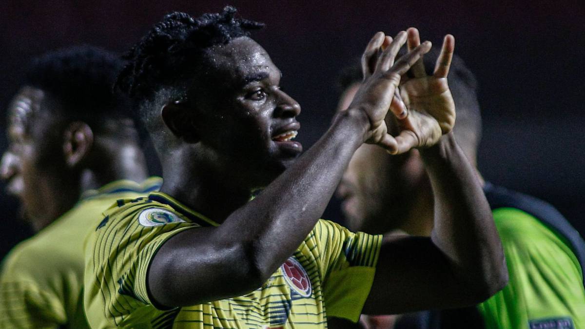 DuvÃ¡n Zapata celebra el gol que anotÃ³ con la SelecciÃ³n Colombia en el triunfo ante Catar en la Copa AmÃ©rica