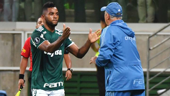 Miguel Borja sería titular con Palmeiras después de siete meses en el Brasileirao