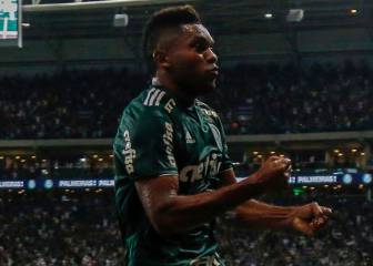 FIFA falla a favor de Nacional en el caso de Miguel Borja