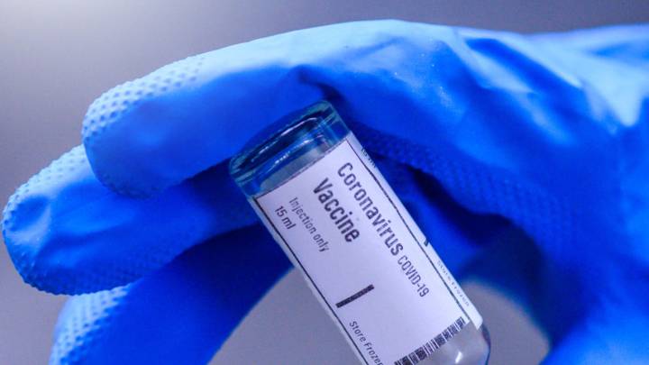 La vacuna contra el coronavirus que ya funciona en monos ...