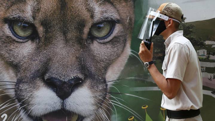 Coronavirus en Colombia, en vivo hoy: casos, muertes y últimas noticias