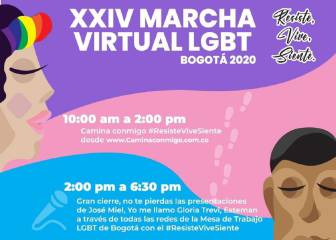Orgullo Gay: horario y cómo ver la marcha virtual LGBT