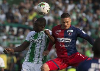 Reina cree en el DIM: 