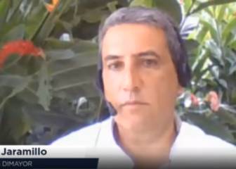 Presidente de Dimayor: 