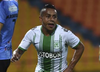 Vladimir lo confirma: 