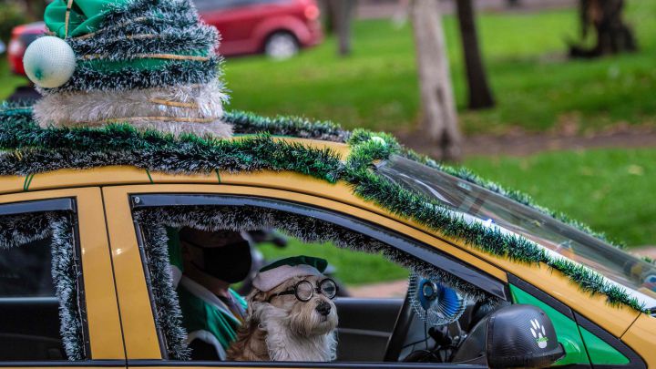 Curva del coronavirus en Colombia, hoy 31 de diciembre: ¿cuántos casos y muertes hay?