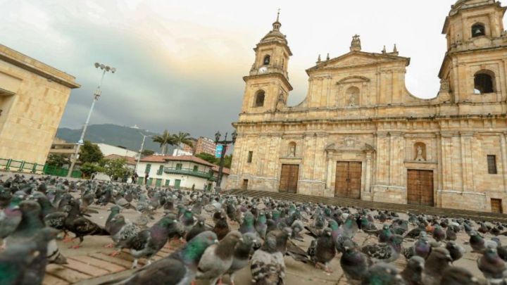 Pico y cédula en Bogotá: medidas, restricciones y cómo funcionará del 8 al 14 de febrero