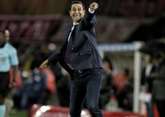 Guimaraes y Libertadores: 