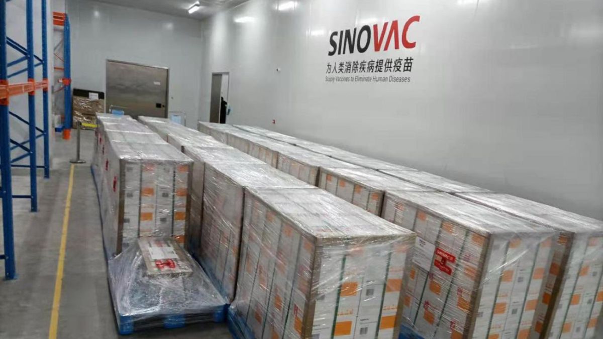 Vacunación Colombia: Cuántas dosis de Sinovac han llegado y cuándo  comenzará su distribución - AS Colombia