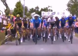 Un aficionado ocasiona una de las peores caídas en el Tour