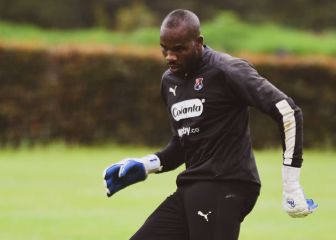 Mosquera y el llamado de Rueda: 