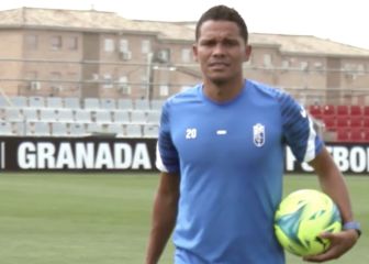Bacca: 