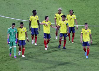 Colombia 1x1: Vargas evita la goleada y el gol no aparece