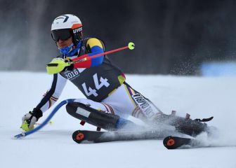 Colombia en los Olímpicos de Invierno: Deportistas y disciplinas