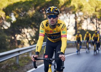 Tom Dumoulin: 