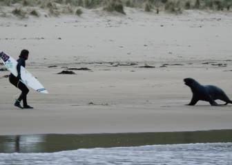 Correr con la tabla de surf: un hábito sin aparente explicación
