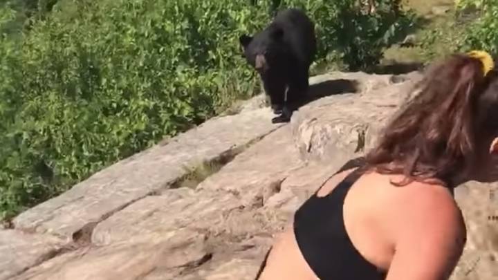 Una chica se encuentra con un oso y se gana el apodo de 'la reina de la calma'