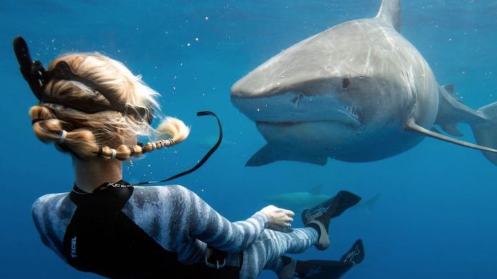 7 de las mejores cuentas españolas de Instagram de fotografía submarina